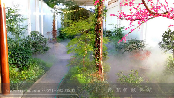 這樣的室內(nèi)庭院，簡直讓我尖叫！